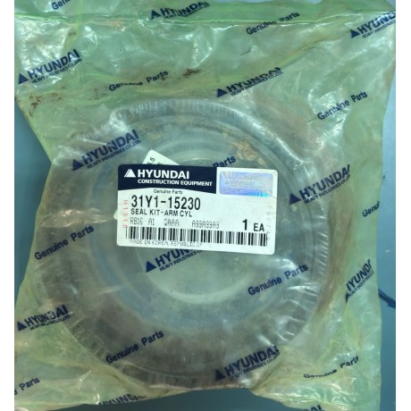 31Y1-15230 ARM SEAL ...
