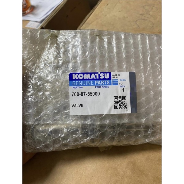 700-87-55000 VALVE